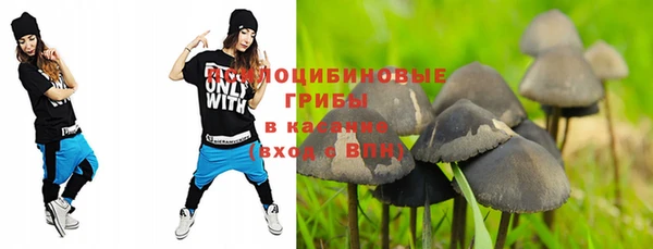 дмт Алексеевка